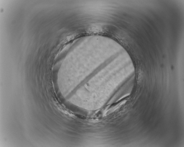 X0000052591153200507221601