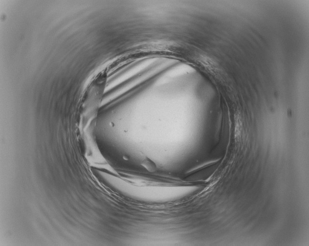 X0000052591164200507221601