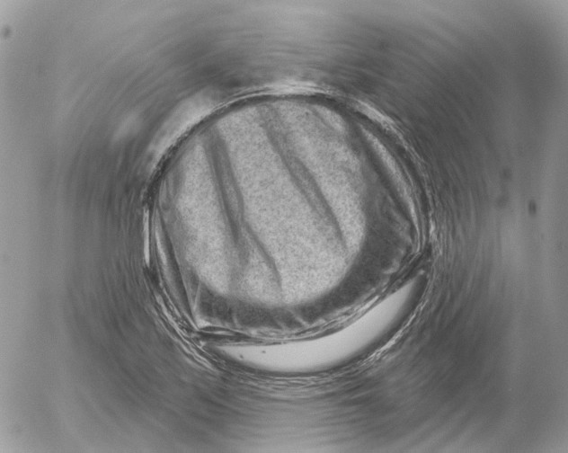 X0000052591171200507221601