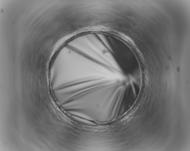 X0000052591176200507221601