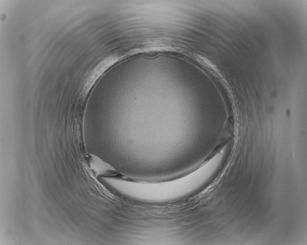 X0000052591177200507221601
