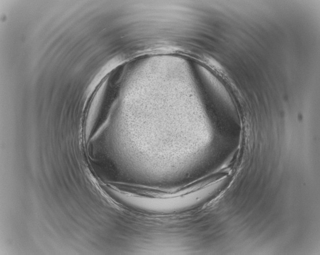 X0000052591186200507221601