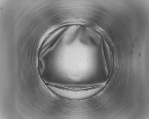 X0000052591188200507221601