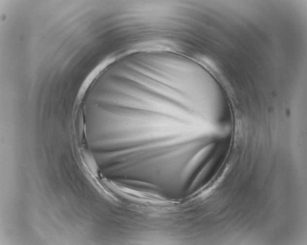 X0000052591196200507221601