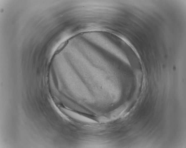X0000052591197200507221601
