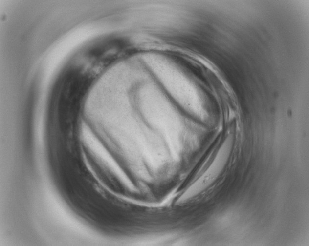 X0000052591199200507221601