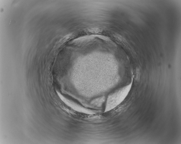 X0000052591201200507221600