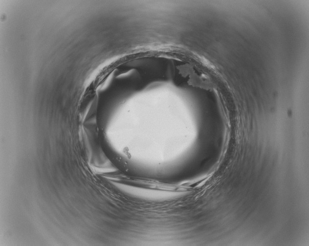X0000052591214200507221600