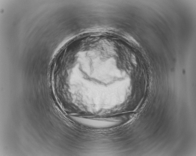 X0000052591216200507221600