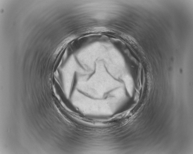 X0000052591225200507221600