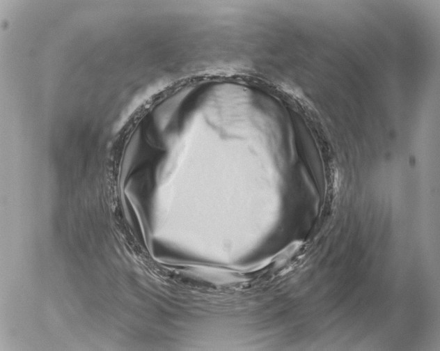 X0000052591256200507221600