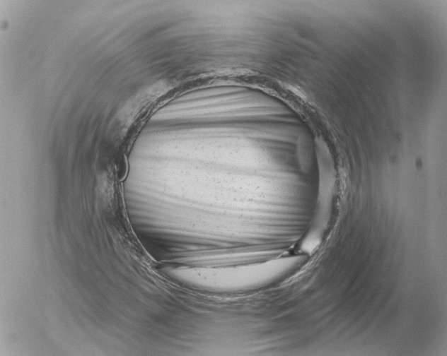 X0000052591257200507221600