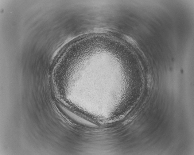 X0000052591260200507221600