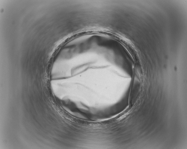 X0000052591264200507221559