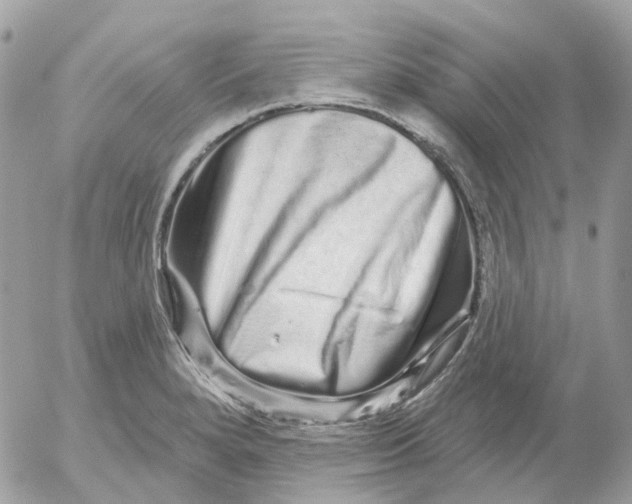 X0000052591280200507221559