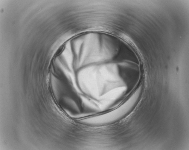 X0000052591284200507221559