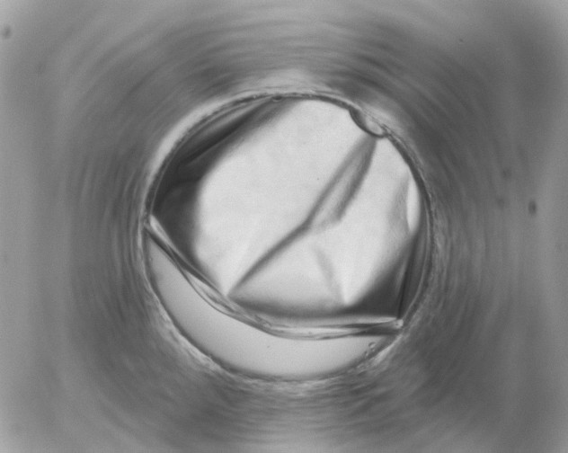 X0000052591288200507221559