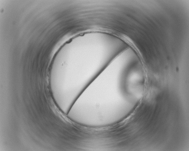 X0000052591292200507221559