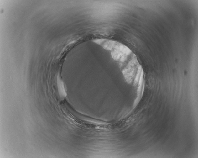 X0000052591297200507221558