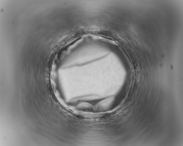 X0000052591301200507221558