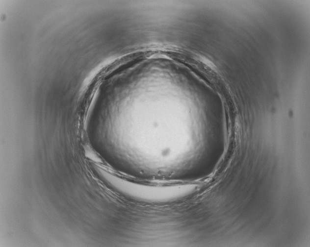 X0000052591310200507221558