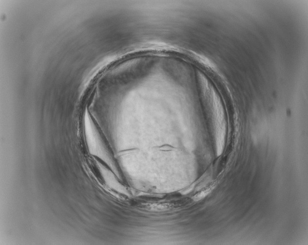 X0000052591318200507221558