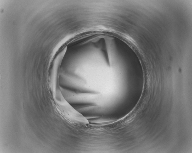 X0000052591326200507221559