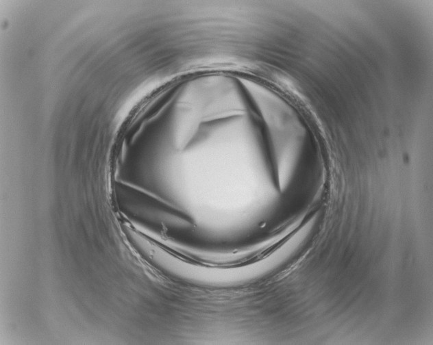 X0000052591328200507221559