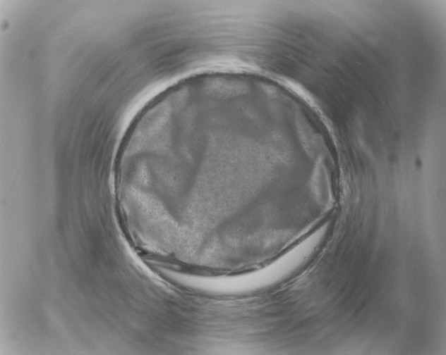 X0000052591335200507221559