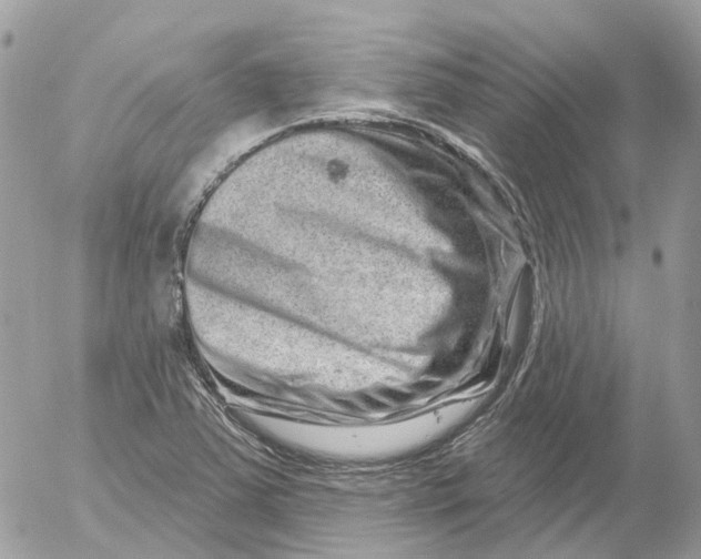 X0000052591363200507221558