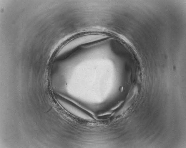 X0000052591364200507221558