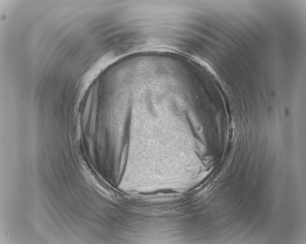 X0000052591371200507221558