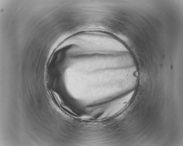 X0000052591374200507221558