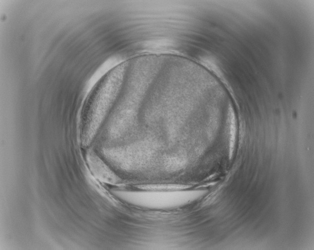 X0000052591386200507221557