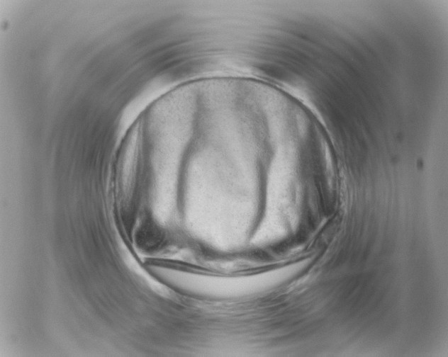 X0000052591387200507221557