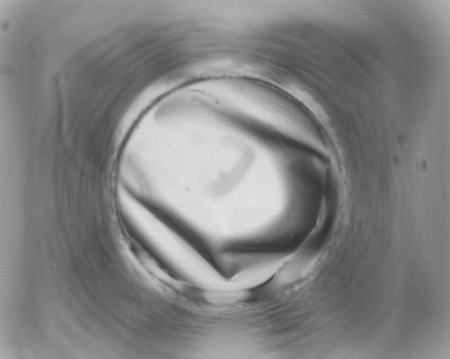X0000052591392200507221557