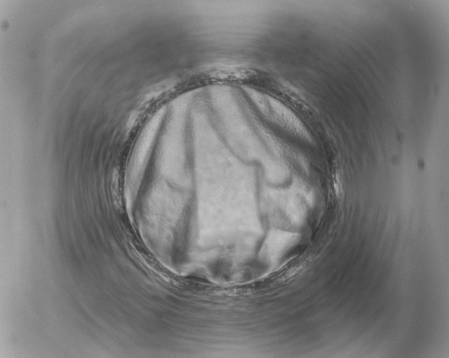 X0000052591396200507221557