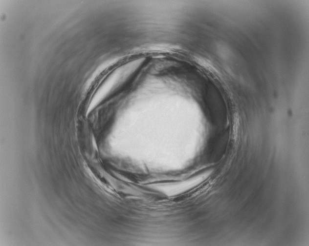 X0000052591404200507221557
