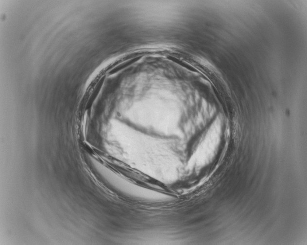X0000052591412200507221557