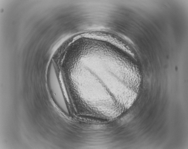 X0000052591423200507221557