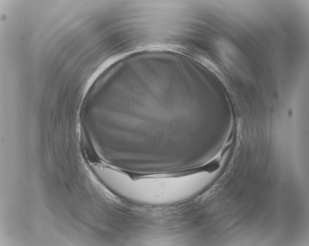 X0000052591428200507221557