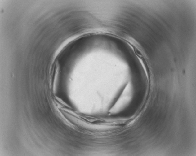 X0000052591436200507221557
