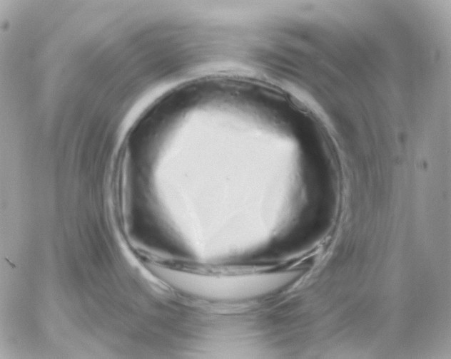 X0000052591440200507221557