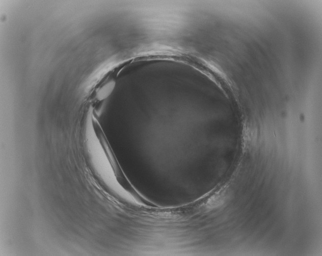 X0000052591455200507221556