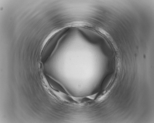 X0000052591473200507221556