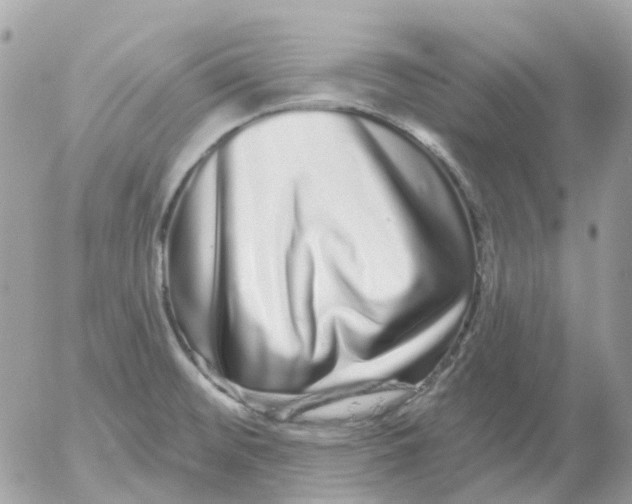 X0000052591476200507221556