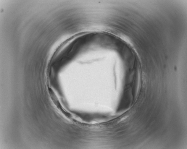 X0000052591480200507221556