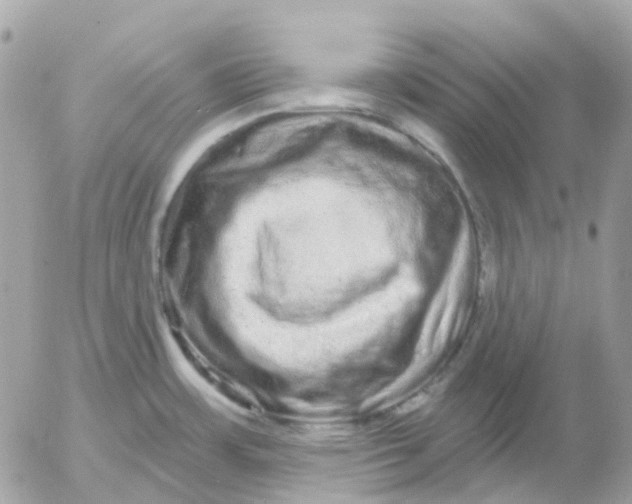 X0000052591483200507221556