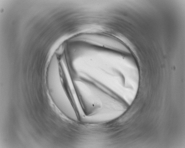 X0000052591488200507221556