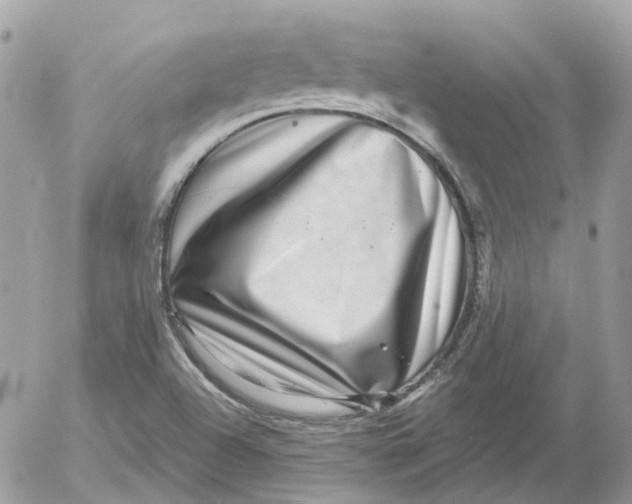 X0000052591504200507221555